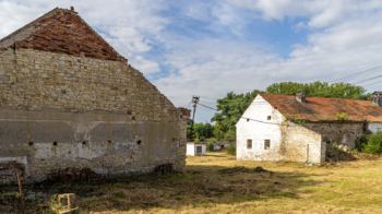 Prodej zemědělského objektu 2500 m², Počedělice