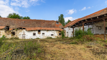 Prodej zemědělského objektu 2500 m², Počedělice