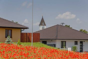 Prodej pozemku 3873 m², Hodějice