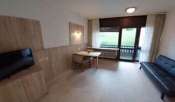 Prodej bytu 1+kk v osobním vlastnictví 28 m², Kvilda