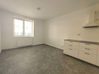 Pronájem bytu 2+kk v osobním vlastnictví 43 m², Vyškov