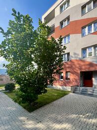 Prodej bytu 1+1 v osobním vlastnictví 36 m², Duchcov