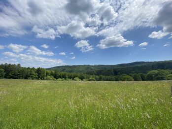 Prodej pozemku 23560 m², Hostěrádky-Rešov