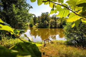 Prodej chaty / chalupy 77 m², Heřmaň