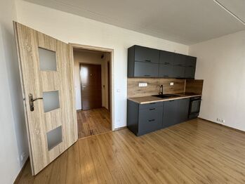 Pronájem bytu 1+kk v osobním vlastnictví 27 m², Plzeň