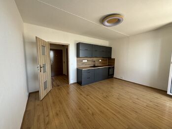 Pronájem bytu 1+kk v osobním vlastnictví 27 m², Plzeň