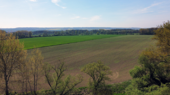 Prodej zemědělského objektu 2500 m², Počedělice