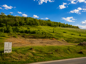 Prodej pozemku 1850 m², Žalhostice