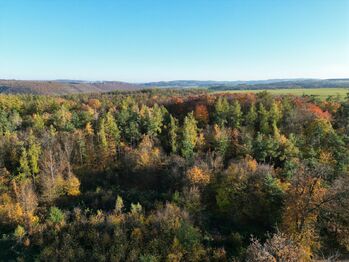 Prodej pozemku 1747 m², Všenory