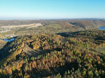 Prodej pozemku 457172 m², Trnová