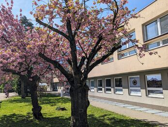 Pronájem komerčního prostoru 15 m², Vyškov