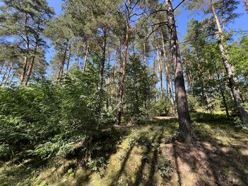 Prodej pozemku 1647 m², Hamr na Jezeře