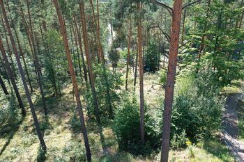 Prodej pozemku 1647 m², Hamr na Jezeře