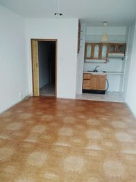 Pronájem bytu 1+kk v osobním vlastnictví 28 m², Vsetín