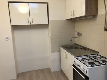 Pronájem bytu 1+kk v osobním vlastnictví 24 m², Praha 3 - Žižkov