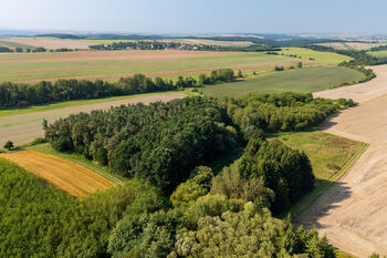 Prodej domu 168 m², Lašovice