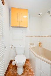 Prodej bytu 1+1 v osobním vlastnictví 31 m², Brno