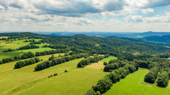 Prodej domu 265 m², Nový Oldřichov