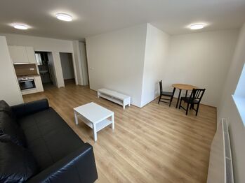 obývací pokoj - Pronájem bytu 1+kk v osobním vlastnictví 45 m², Plzeň