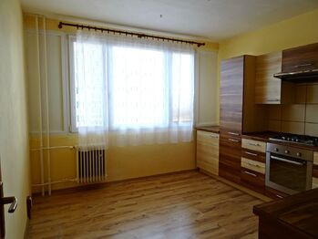 Pronájem bytu 1+1 v osobním vlastnictví 41 m², Plzeň