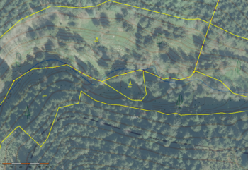 Prodej pozemku 110000 m², Jindřichovice