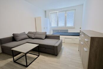 Pronájem bytu 1+1 v družstevním vlastnictví 39 m², Orlová