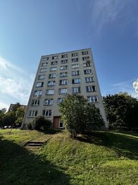 Pronájem bytu 1+1 v družstevním vlastnictví 39 m², Orlová