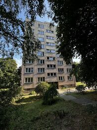 Pronájem bytu 1+1 v družstevním vlastnictví 39 m², Orlová