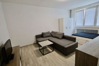 Pronájem bytu 1+1 v družstevním vlastnictví 39 m², Orlová