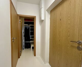 Pronájem bytu 1+kk v osobním vlastnictví 50 m², Praha 6 - Břevnov