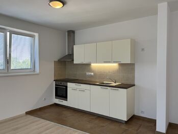 Prodej bytu 1+kk v osobním vlastnictví 60 m², Plzeň