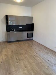 Pronájem bytu 2+kk v osobním vlastnictví 35 m², Plzeň