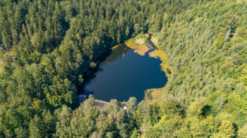 Prodej hotelu 750 m², Mařenice