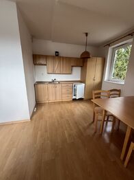 Pronájem bytu 1+kk v osobním vlastnictví 40 m², Harrachov