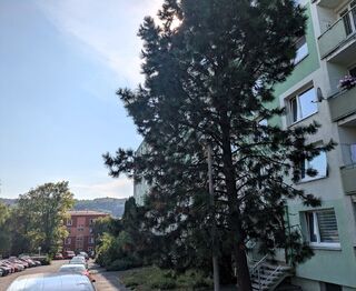 Prodej bytu 2+kk v osobním vlastnictví 37 m², Ústí nad Labem