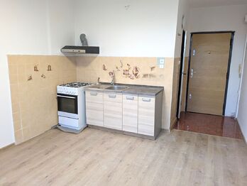 Prodej bytu 1+1 v družstevním vlastnictví 33 m², Ústí nad Labem