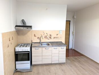 Prodej bytu 1+1 v družstevním vlastnictví 33 m², Ústí nad Labem