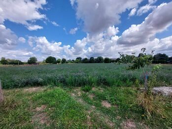 Prodej pozemku 2832 m², Uherské Hradiště