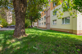 Prodej bytu 1+1 v osobním vlastnictví 36 m², Litvínov