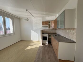 Prodej bytu 2+kk v osobním vlastnictví 36 m², Praha 4 - Nusle