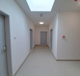 Pronájem bytu 1+kk v osobním vlastnictví 29 m², Plzeň