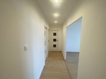 Pronájem bytu 4+kk v družstevním vlastnictví 80 m², Teplice