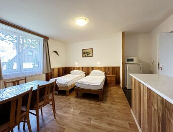 Prodej hotelu 400 m², Žamberk