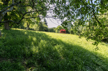 Prodej pozemku 2298 m², Sušice
