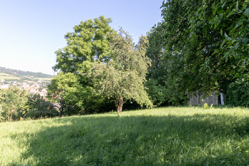 Prodej pozemku 2298 m², Sušice