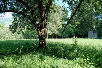 Prodej pozemku 2298 m², Sušice