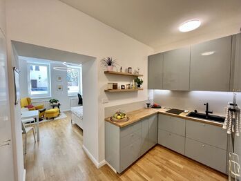 Prodej bytu 1+kk v osobním vlastnictví 36 m², Praha 2 - Vinohrady