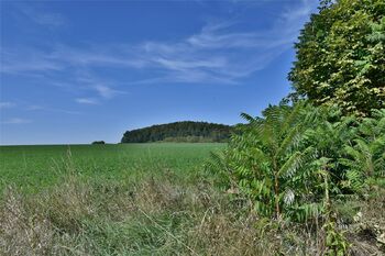 Prodej chaty / chalupy 100 m², Lázně Bělohrad