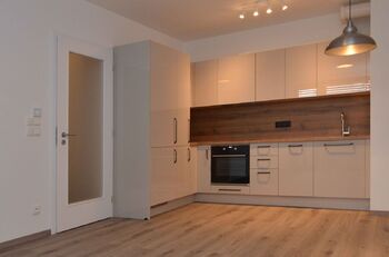 Pronájem bytu 2+kk v osobním vlastnictví 46 m², Praha 3 - Žižkov