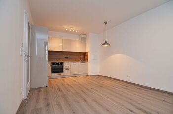 Pronájem bytu 2+kk v osobním vlastnictví 46 m², Praha 3 - Žižkov